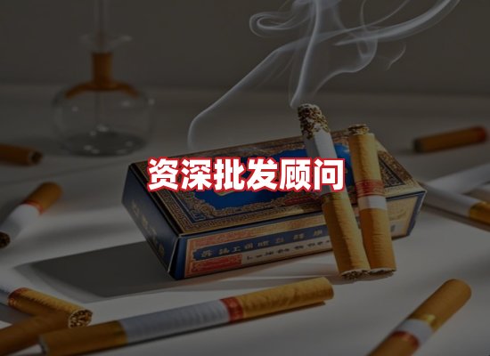 专业团队